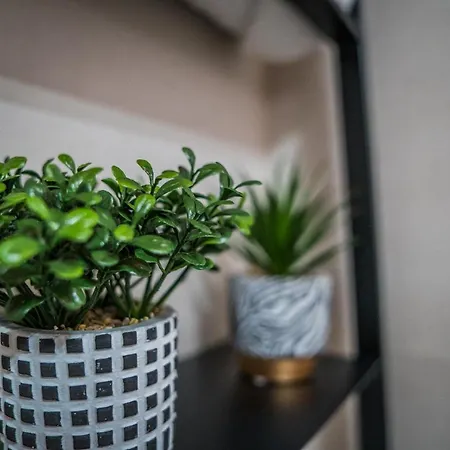 Turisticos El Altozano Fuentes De Leon