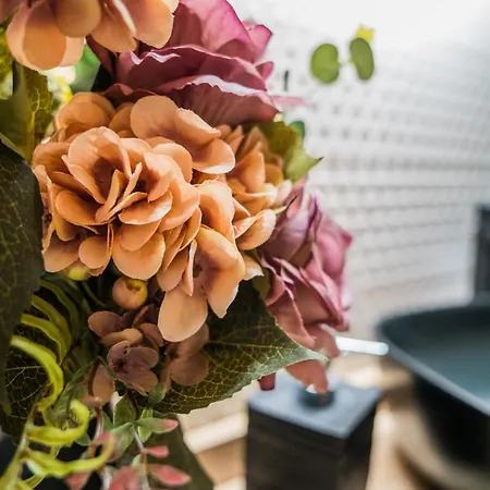 Turisticos El Altozano