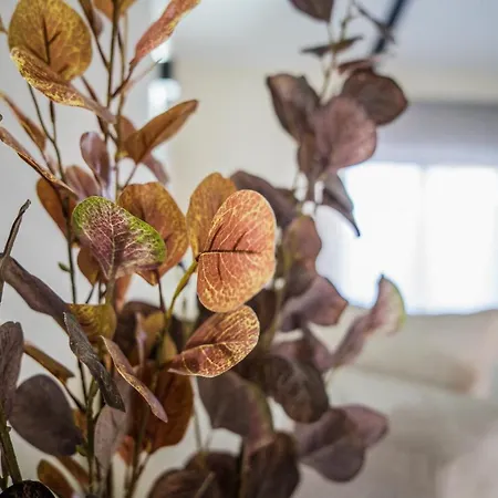 Turisticos El Altozano