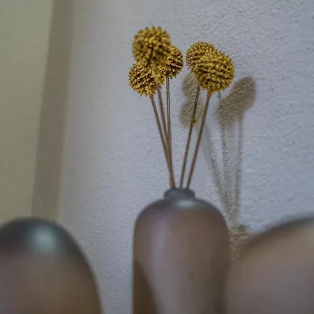 Апартаменты Turisticos El Altozano