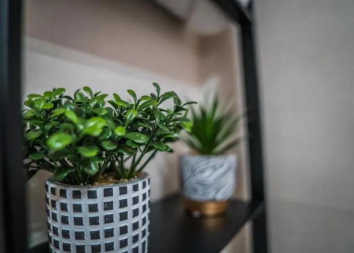 Turisticos El Altozano Фуэнтес-де-Леон