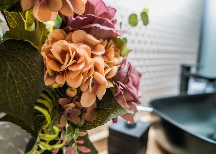 Turisticos El Altozano