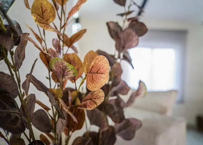 Turisticos El Altozano